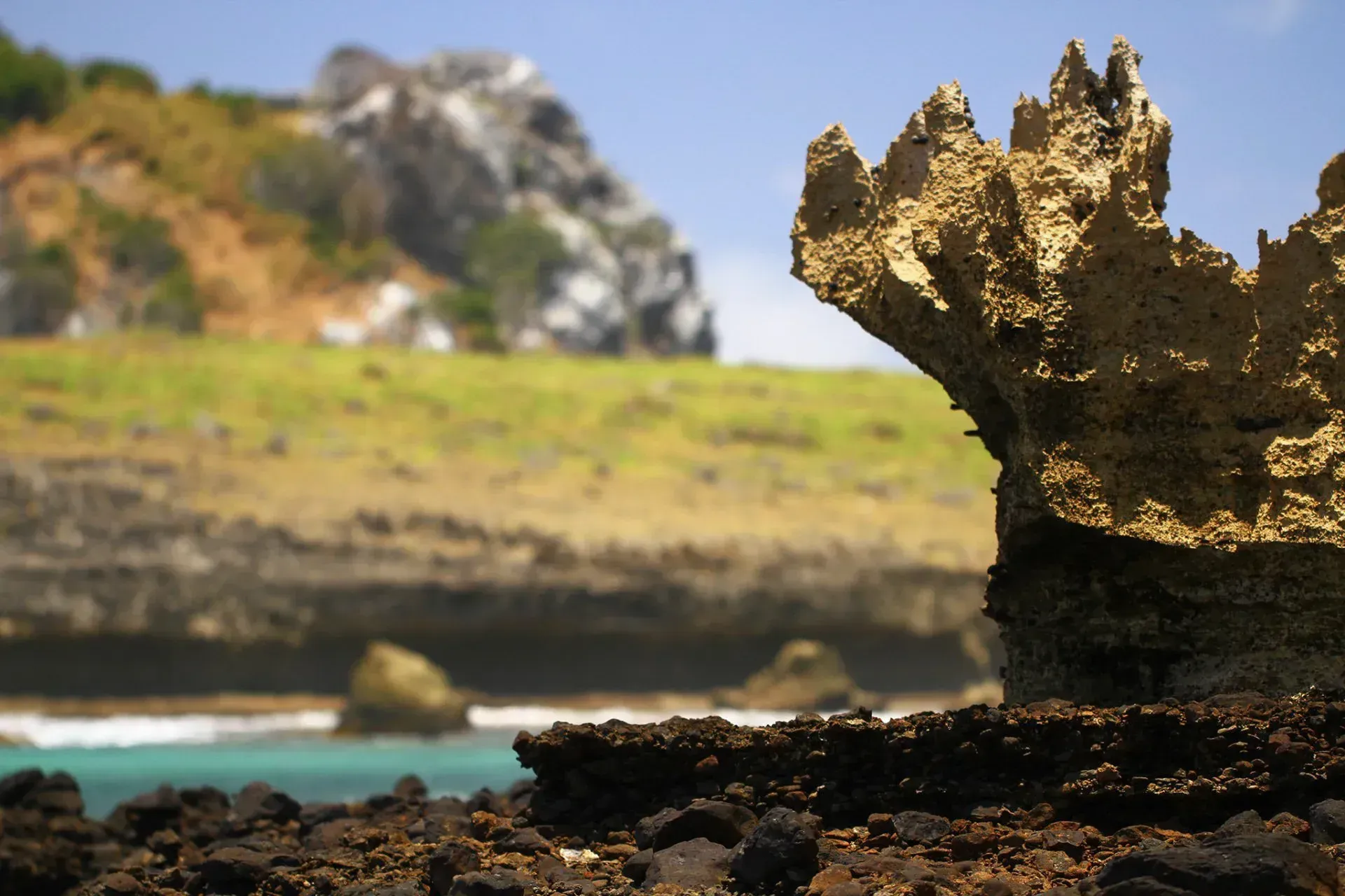 Fernando+de+Noronha+(11)-1920w