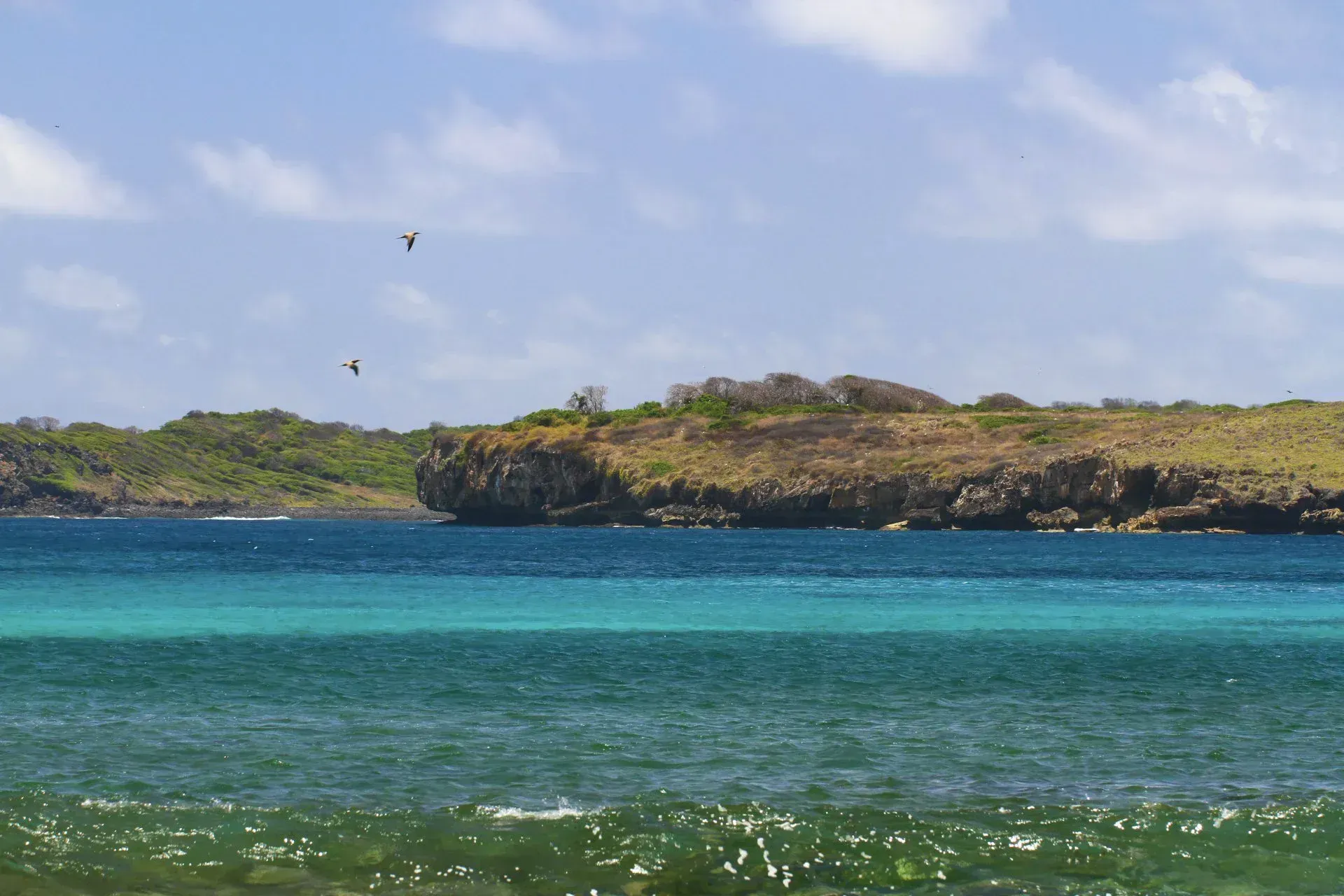 Fernando+de+Noronha+(12)-1920w