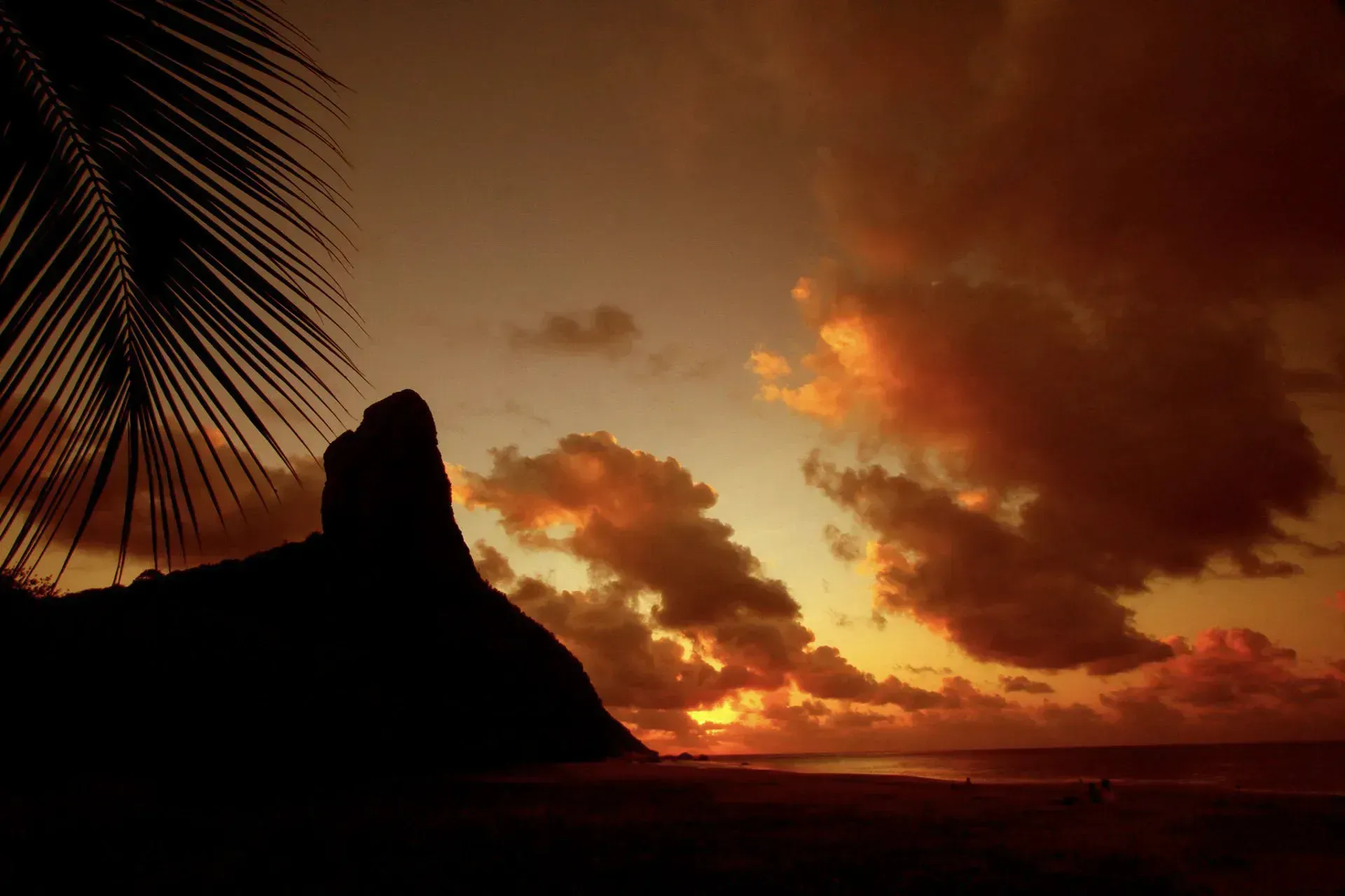 Fernando+de+Noronha+(14)-1920w