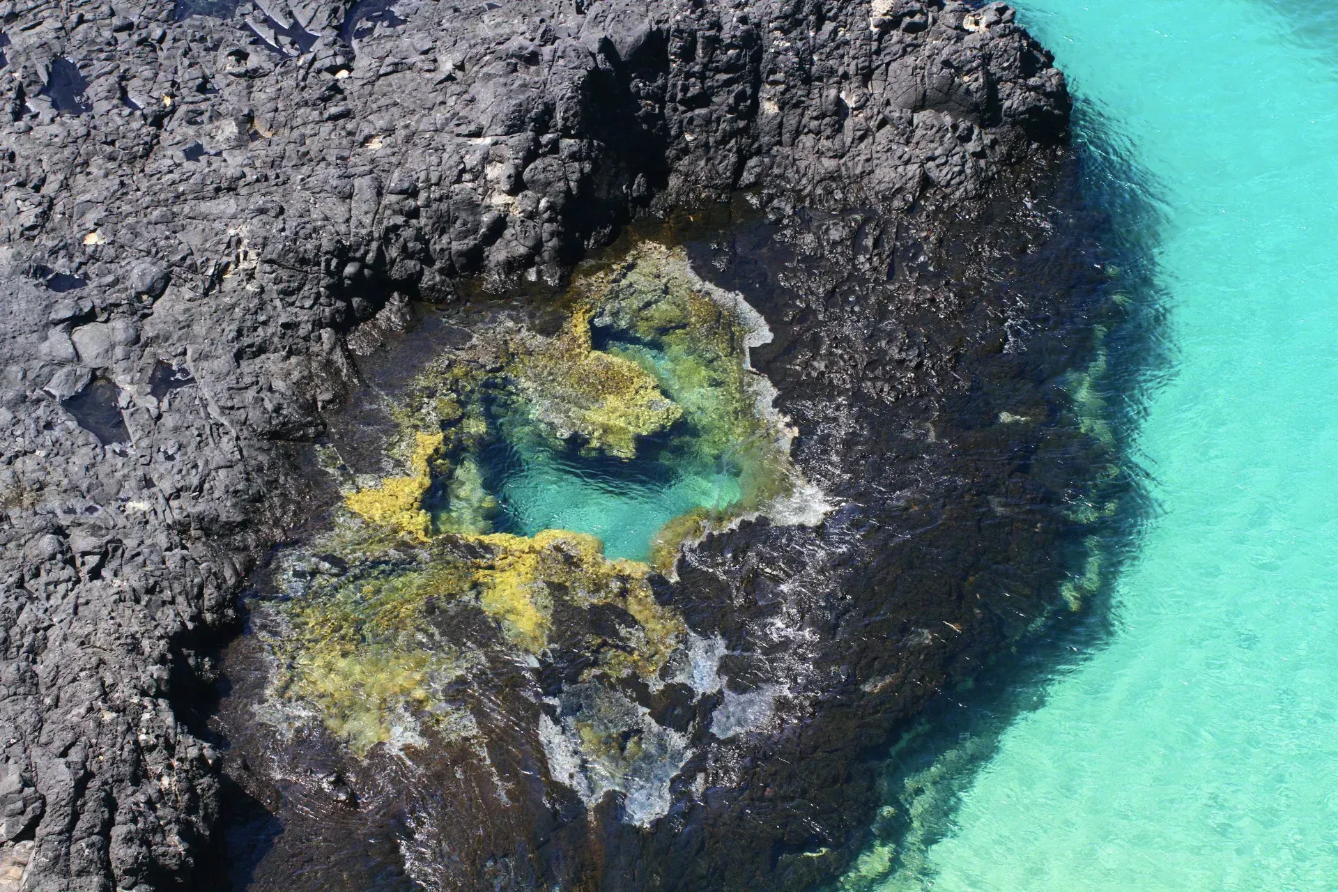 Fernando+de+Noronha+(9)-1920w